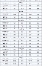 2009年11月入境旅游市场分析 在全球震荡中企稳回升
